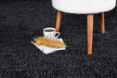 Easy Dark Gray Jute Indoor Outdoor Rugs - Ornate Home