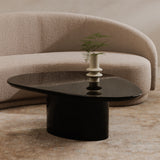 Eden Black Coffee Table - Ornate Home