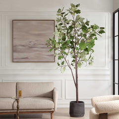 Eden Green Potted Fig Tree - Ornate Home
