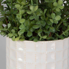 Edgewood Green/White Greenery (Set of 2) - Ornate Home