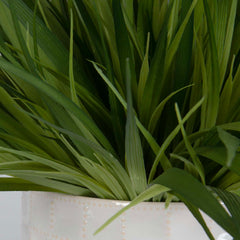 Edgewood Green/White Greenery (Set of 2) - Ornate Home