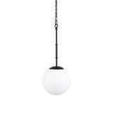 Edie Matte Black Metal with Frosted Glass Globe 1-Light Pendant - Ornate Home