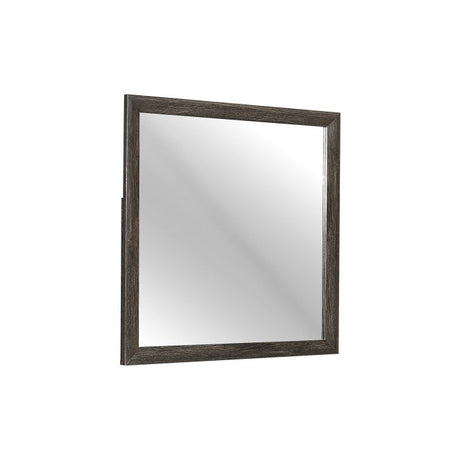Edina Dark Gray Mirror - Ornate Home