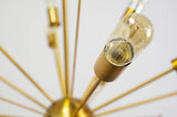 Edisonna Gold Sputnik Twenty Bulb Chandelier - Ornate Home