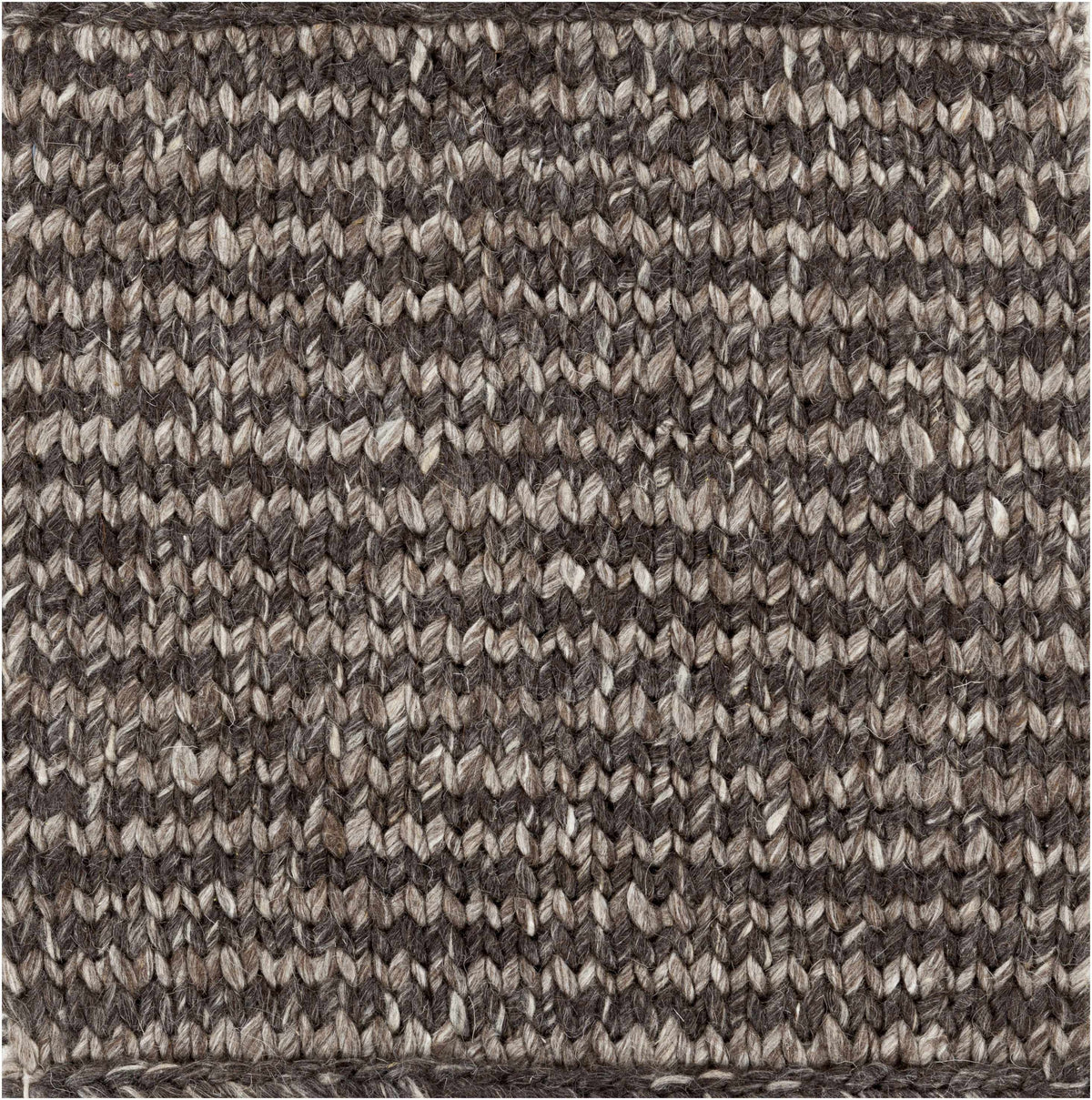 Edisto Area Rug - Clearance - Ornate Home