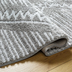 Edsel Gray Area Rug - Ornate Home