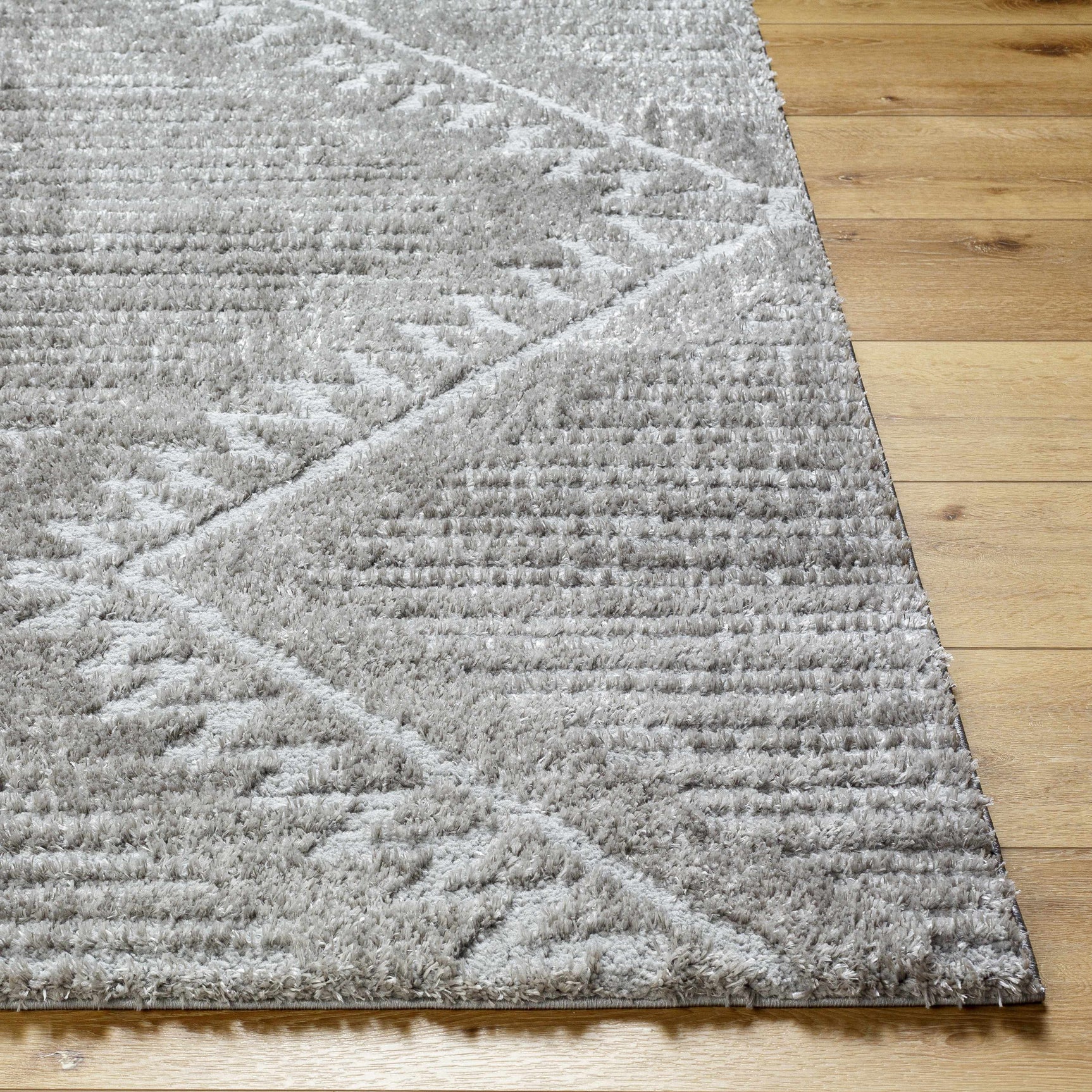 Edsel Gray Area Rug - Ornate Home