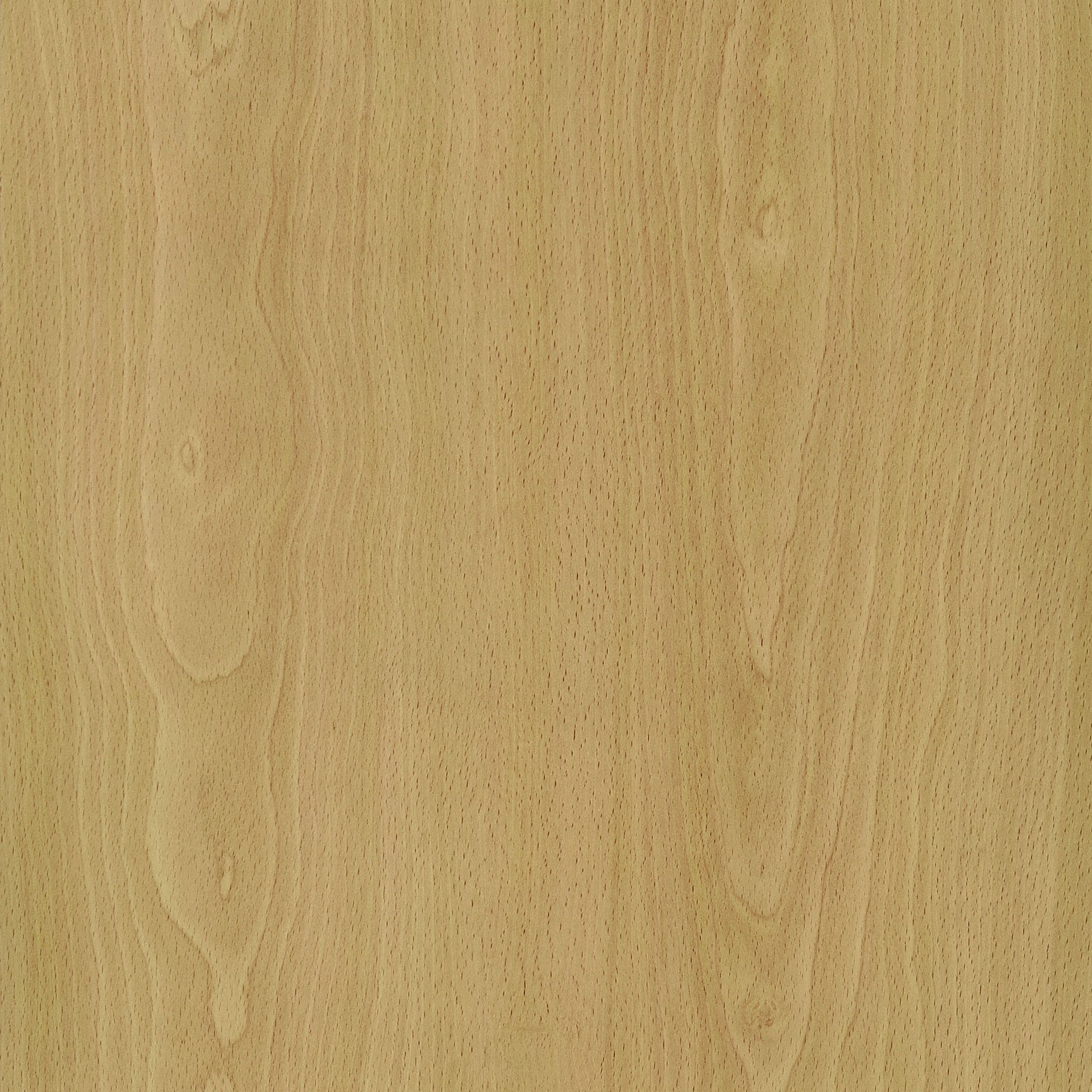 Edwards Natural Room Divider - Ornate Home