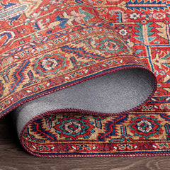 Edwardsburg Traditional Red Rug - Ornate Home