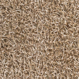 Egan Area Carpet - Clearance - Ornate Home