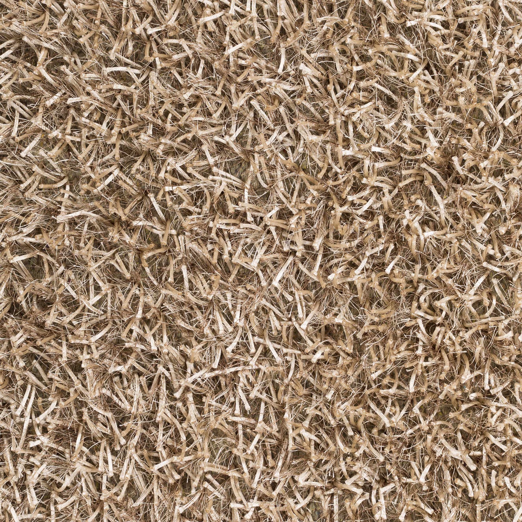 Egan Area Carpet - Clearance - Ornate Home