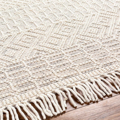 Egil Wool-blend Area Rug - Clearance - Ornate Home