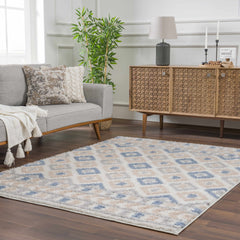 Eivin Pink & Blue Area Rug - Clearance - Ornate Home