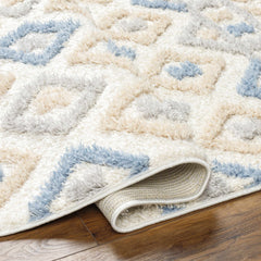Eivin Pink & Blue Area Rug - Clearance - Ornate Home