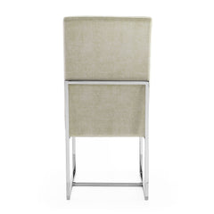Element Velvet Dining Chair in Champagne (set of 2) - Ornate Home