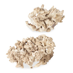 Elemental White Root Outdoor Sculptures (Set of 2) - Ornate Home