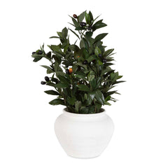 Elena Olive Green/White Centerpiece - Ornate Home