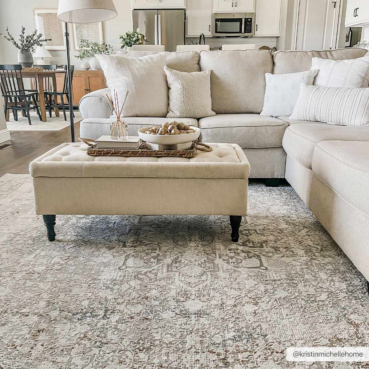 Eley Traditional Area Rug - Clearance - Ornate Home