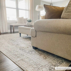 Eley Traditional Area Rug - Clearance - Ornate Home