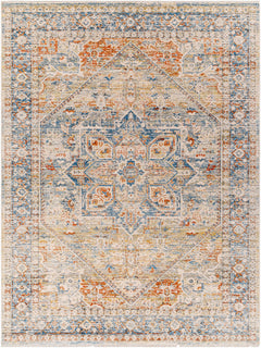 Elita Area Rug - Clearance - Ornate Home