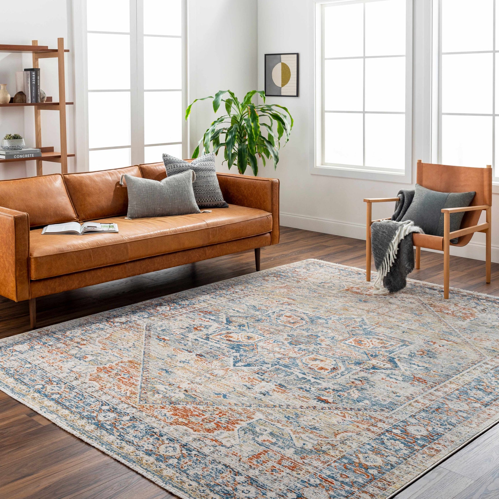 Elita Area Rug - Clearance - Ornate Home