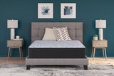 Elite Springs Firm Gray/Blue California King Mattress (Online Special Price) - Ornate Home