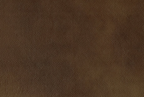 Ellicott Brown Double Reclining Loveseat - Ornate Home