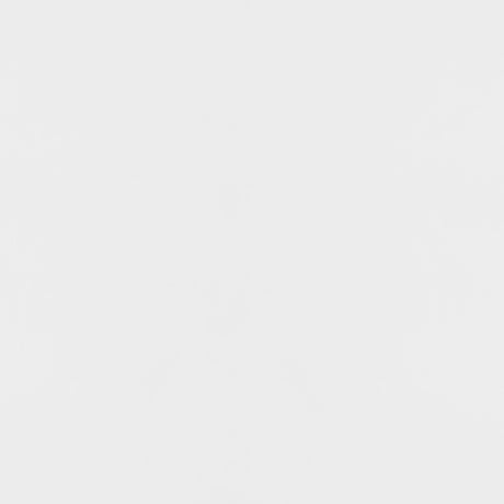 Elsa White and Gold 2-door Wood Storage Accent Cabinet - Ornate Home