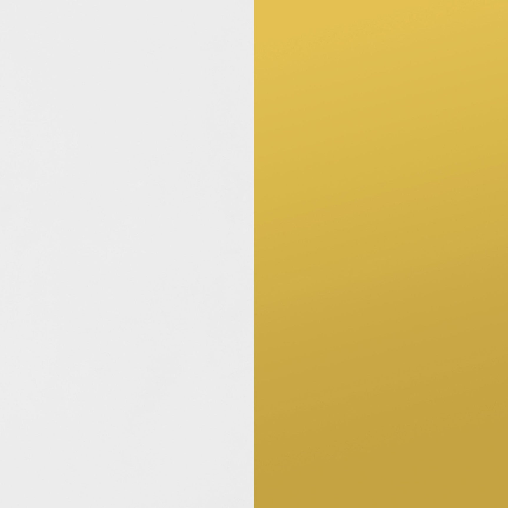 Elsa White and Gold 2-door Wood Storage Accent Cabinet - Ornate Home