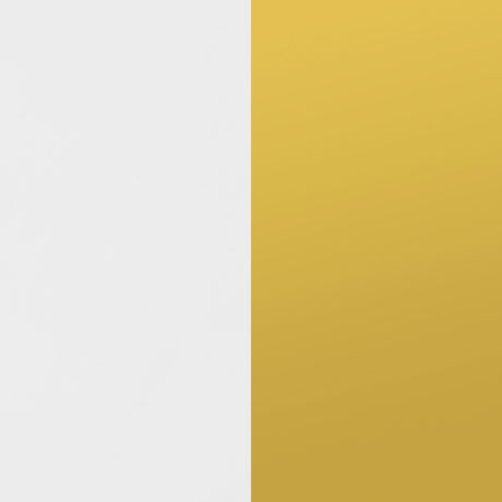 Elsa White and Gold 2-door Wood Storage Accent Cabinet - Ornate Home