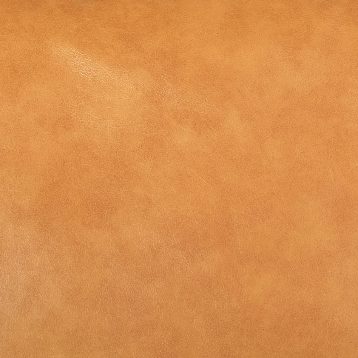 Elton Tan Leather Sofa - Ornate Home