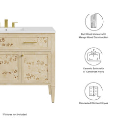Elysian White/Burl 48" Wood Single Sink Bathroom Vanity - Ornate Home