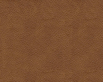Emilia Caramel Leather 5pc Modular Sectional - Ornate Home