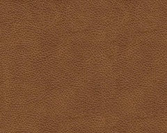 Emilia Caramel Leather 6pc Modular Sectional - Ornate Home