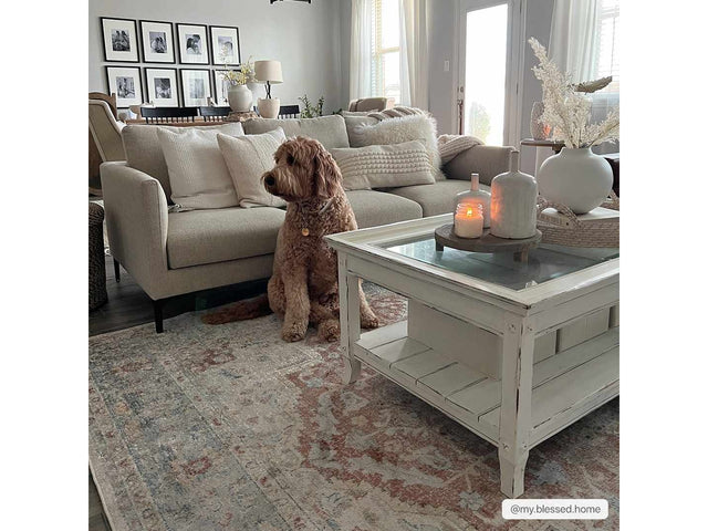 Emke Cream Washable Area Rug - Ornate Home