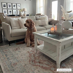 Emke Flat Pile Washable Rug - Clearance - Ornate Home