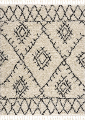 Emlenton Berber Shag with Tassels - Clearance - Ornate Home