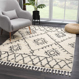 Emlenton Berber Shag with Tassels - Clearance - Ornate Home