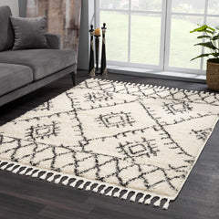 Emlenton Berber Shag with Tassels - Clearance - Ornate Home