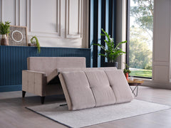 Emmett Loveseat Sleeper - Ornate Home