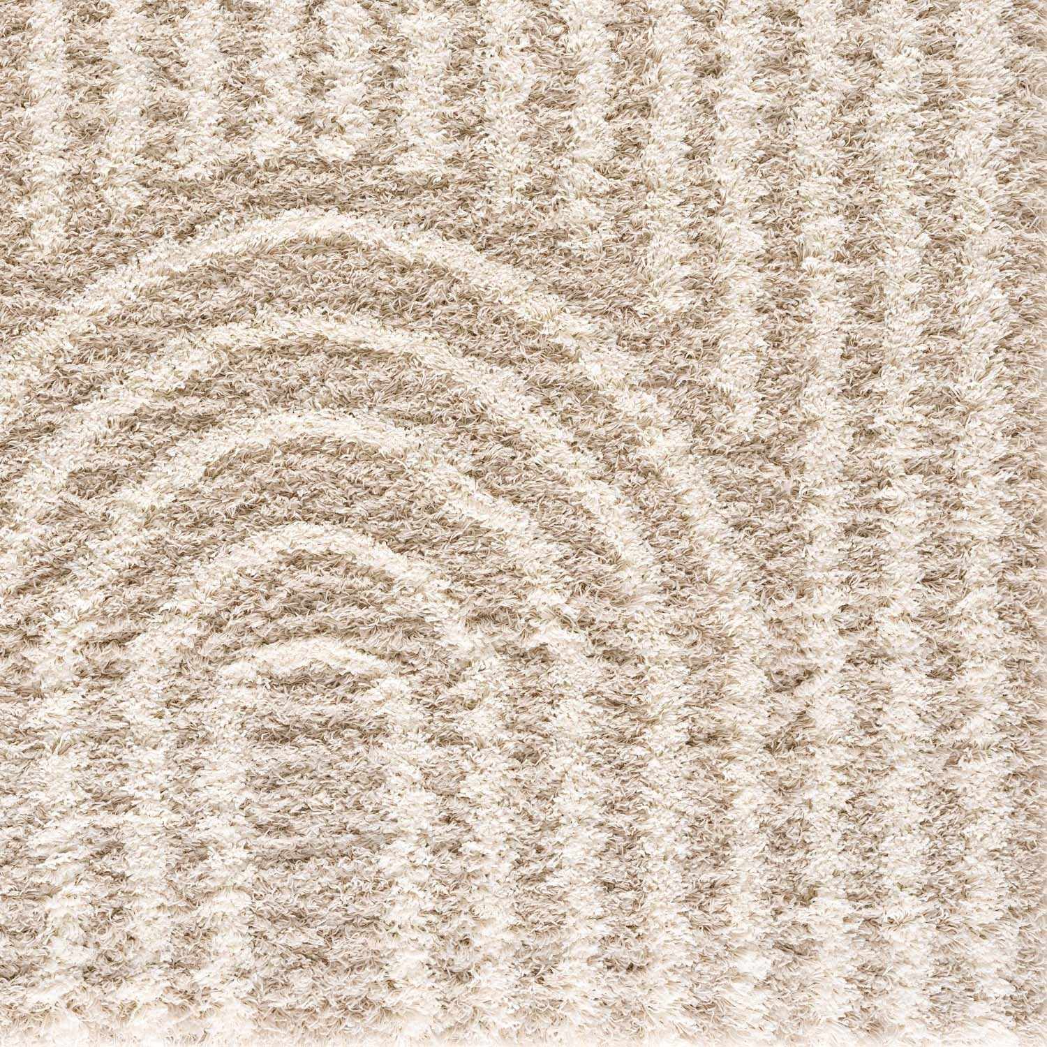 Emmly Shag Area Rug - Ornate Home