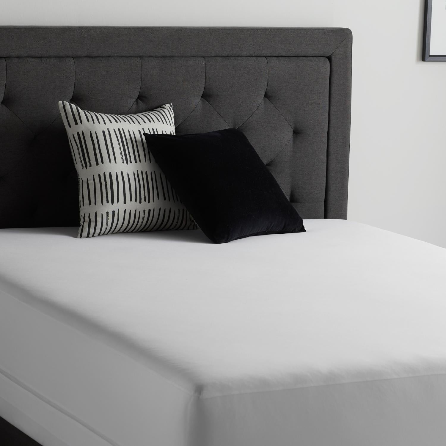 Encase 360° White Twin Mattress Protector - Ornate Home