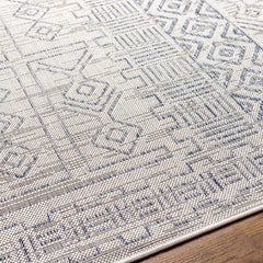 Epson Indoor & Outdoor Rug - Clearance - Ornate Home