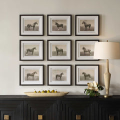 Equine Dynasty Multicolor Framed Prints (Set of 9) - Ornate Home
