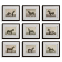 Equine Dynasty Multicolor Framed Prints (Set of 9) - Ornate Home