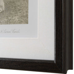 Equine Dynasty Multicolor Framed Prints (Set of 9) - Ornate Home