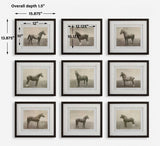 Equine Dynasty Multicolor Framed Prints (Set of 9) - Ornate Home