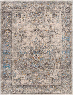 Erela Area Rug - Clearance - Ornate Home