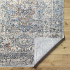 Erela Area Rug - Clearance - Ornate Home