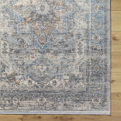 Erela Area Rug - Clearance - Ornate Home